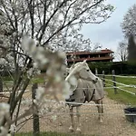 Agriturismo Tenuta Blueberry - Mirtillo Apartamento *