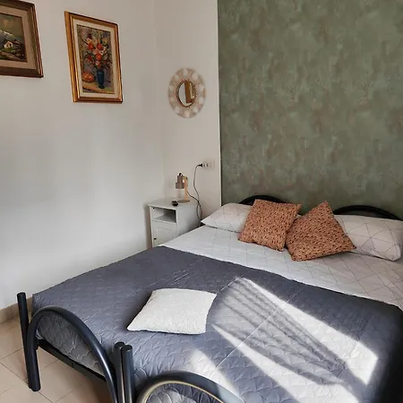 Tenuta Blueberry - Sambuco * Varallo Pombia
