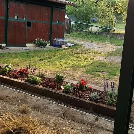 Apartmán Tenuta Blueberry - Sambuco
