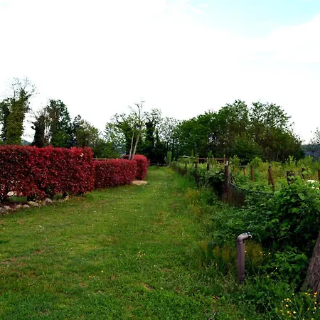 Tenuta Blueberry - Sambuco * Varallo Pombia