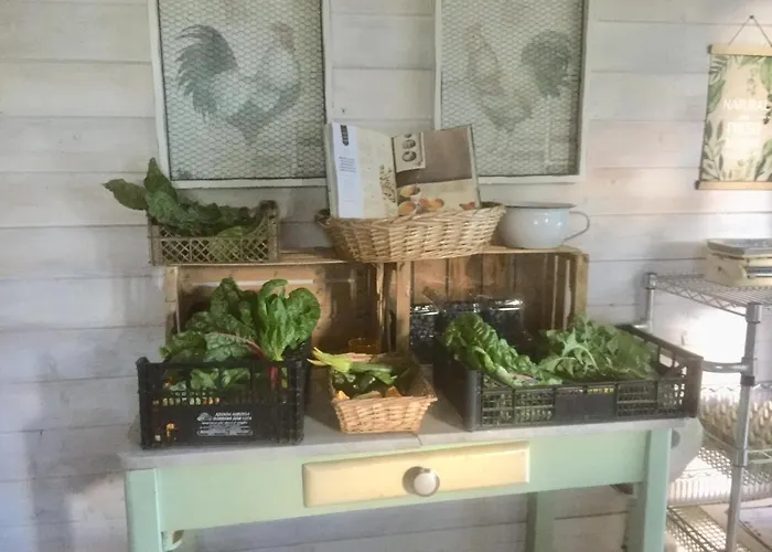 شقة Bilocale In The Farm- Malpensa-lago Maggiore *