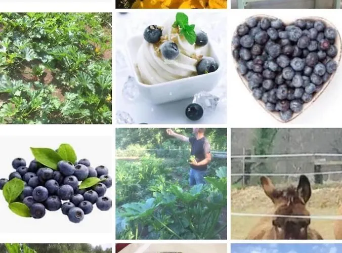 شقة Bilocale In The Farm- Malpensa-lago Maggiore