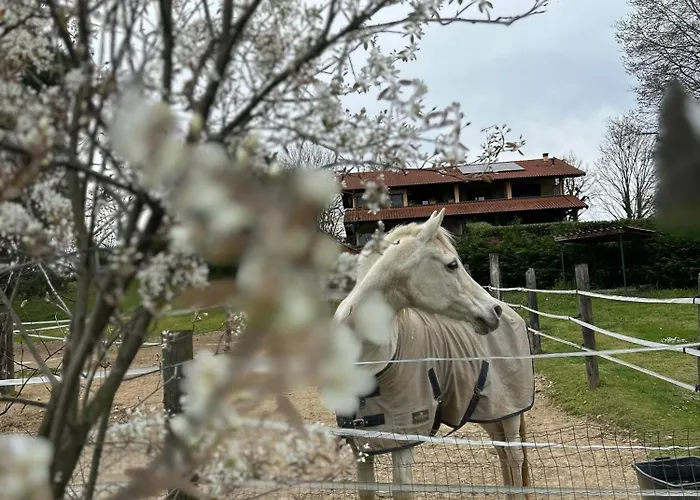 Bilocale In The Farm- Malpensa-lago Maggiore شقة *